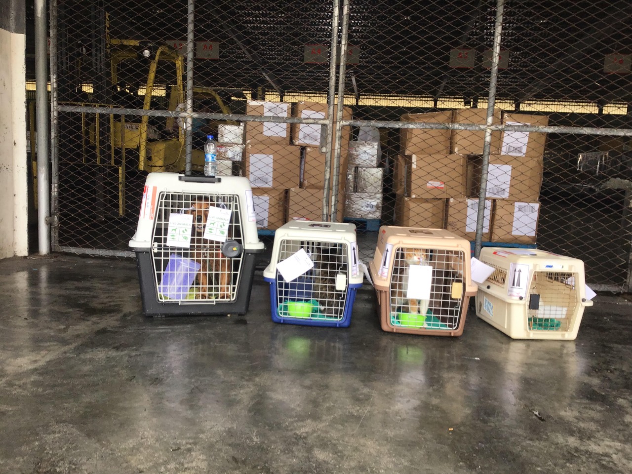 Choosing Between Self-Storage and Full-Service Storage in Nairobi