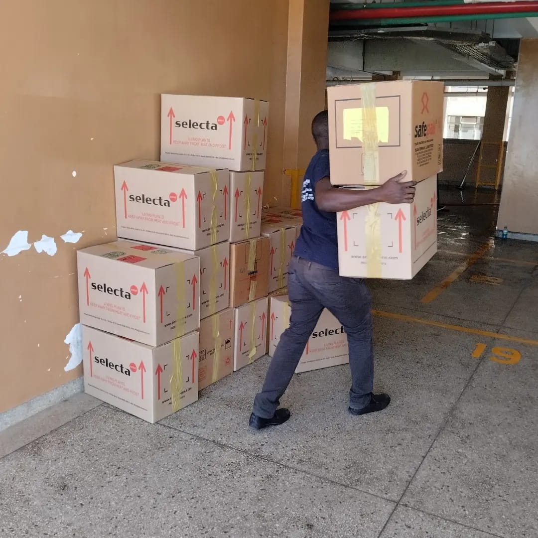 The Hidden Costs of Office Moving and How to Avoid Them